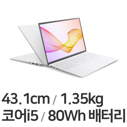 LG전자 2021 그램17 17ZD90P-GX56K WIN10 (SSD 256GB)