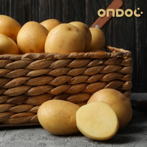 온도씨 국내산 수미 햇 감자 중 10kg (1개)