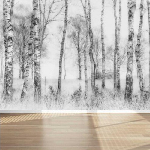 마이월플레이즈 뮤럴 풍경디자인 벽지 흑백 자작나무 (1장, 180cm x 1.3m)_이미지
