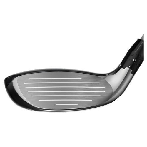 Ķ������ �з����� X Ŀ���� ���̺긮��+�ټ��� ����Ʈ