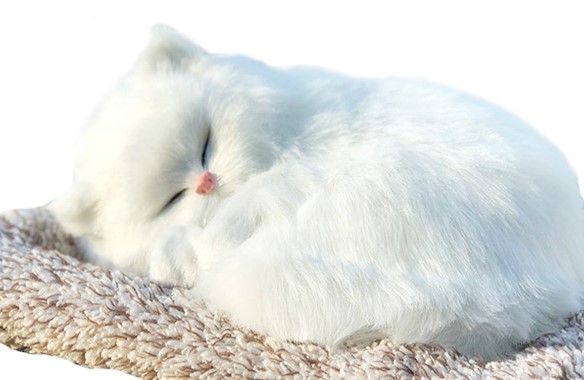 미니형 숯 먹는 고양이 화이트양이 차량탈취제 (1개)_이미지