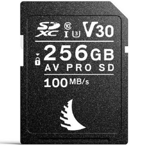 엔젤버드 AV PRO SD V30 (256GB)_이미지