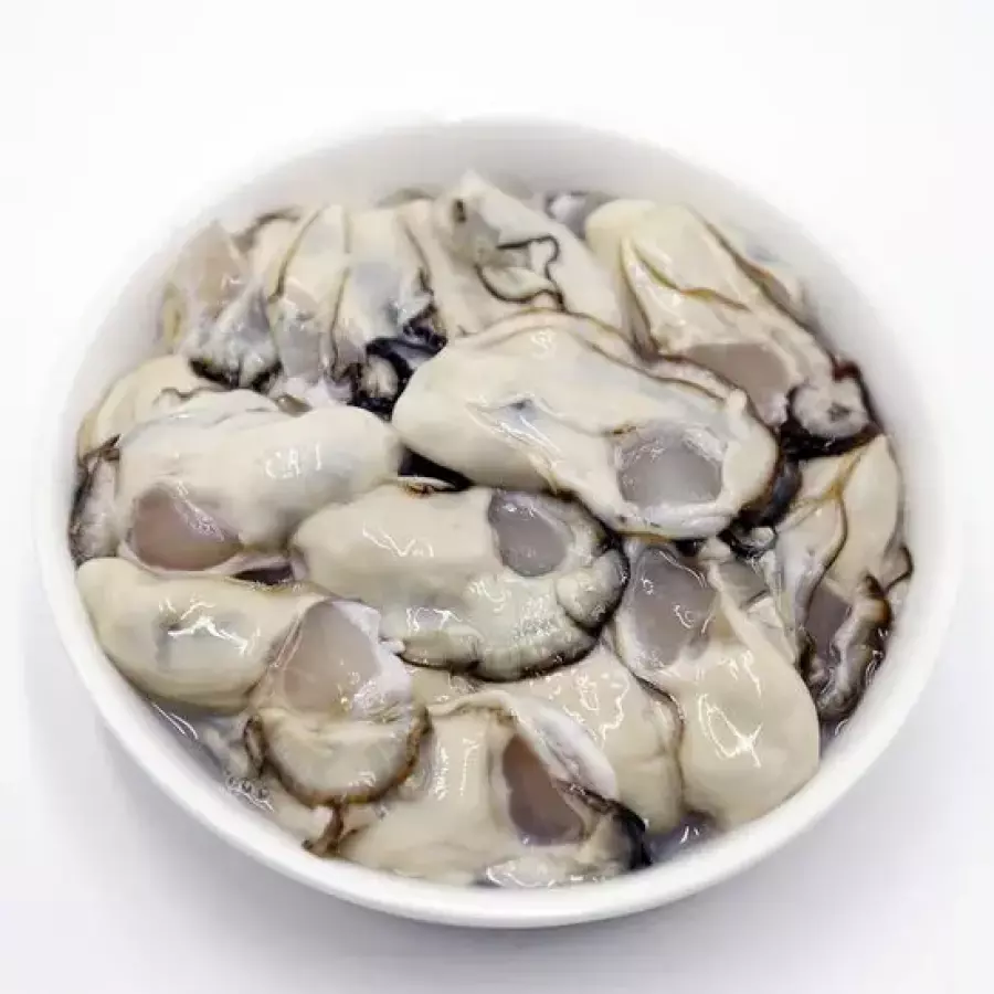 통영 생 굴 1kg