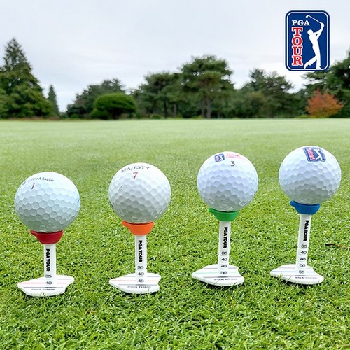 PGA���� �������� ��Ʈ�� ����Ƽ/Ƽ����