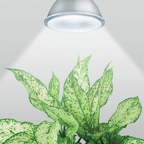 필립스 LED PAR38 식물램프 주백색 16W (2개)_이미지