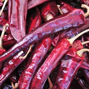 산정마을 태양초 건고추 1근 국내산 태양초 건고추 1근