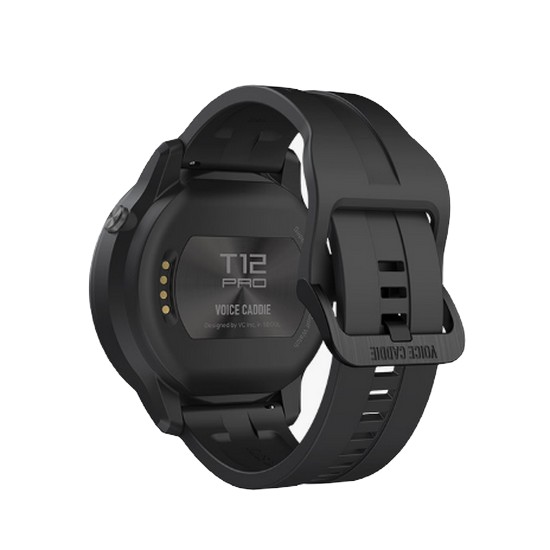 ���̽�ĳ�� T12 ����