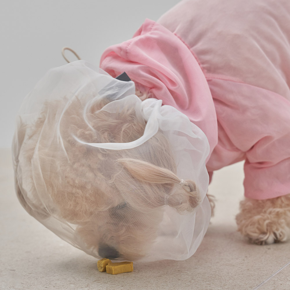 도그아이 슈퍼펫 페이스 커버이미지입니다. 누르면 해당 게시물로 새창이동합니다.