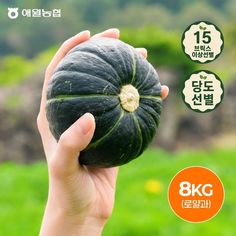 제주 애월농협 미니 단호박 8kg