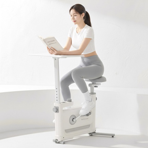 이고진 더슬림 바이크 데스크 세트