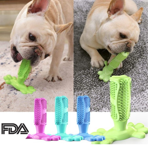 셀프칫솔 장난감