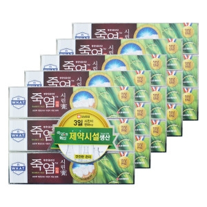 LG생활건강 죽염 은강고 시린고 치약 120g (15개)