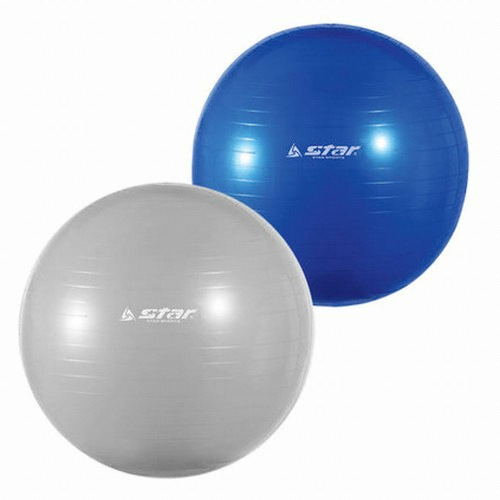 신신상사 스타스포츠 다이어트 짐볼 EB200 65cm