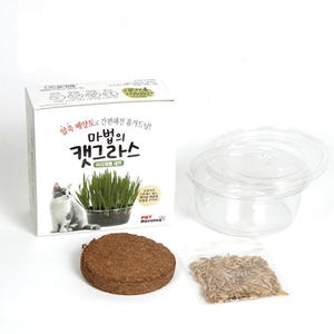 펫모닝 마법의 캣그라스 귀리재배 세트 PMC-406