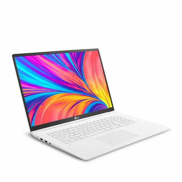 LG���� 2020 �׷�17 17Z995-VA50K