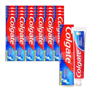 콜게이트 케비티프로텍션 레귤러 치약 100g (24개)