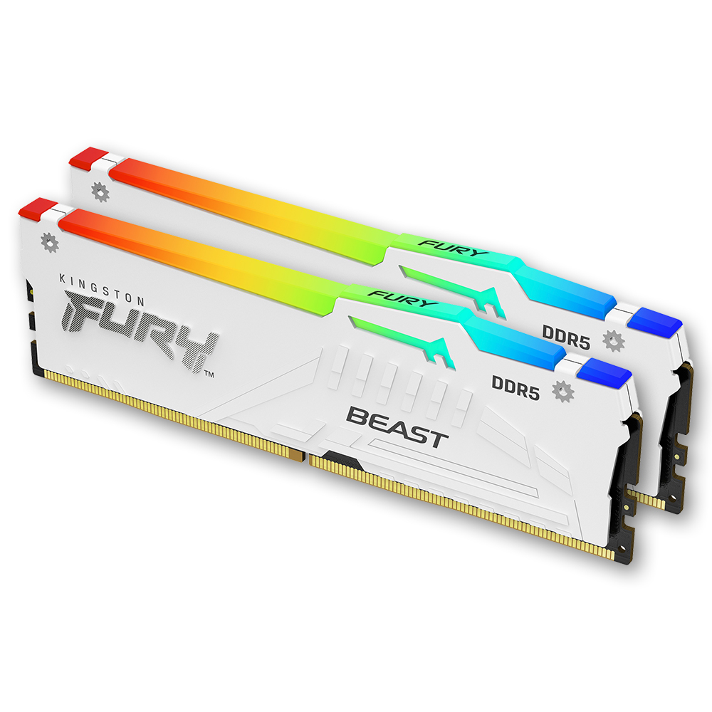 킹스톤 FURY DDR5-6000 CL30 Beast RGB 화이트 패키지 코잇 (64GB(32Gx2))_이미지