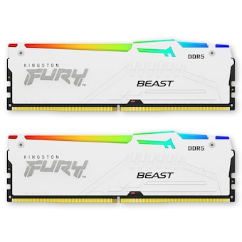 킹스톤 FURY DDR5-6000 CL30 Beast RGB 화이트 패키지 코잇