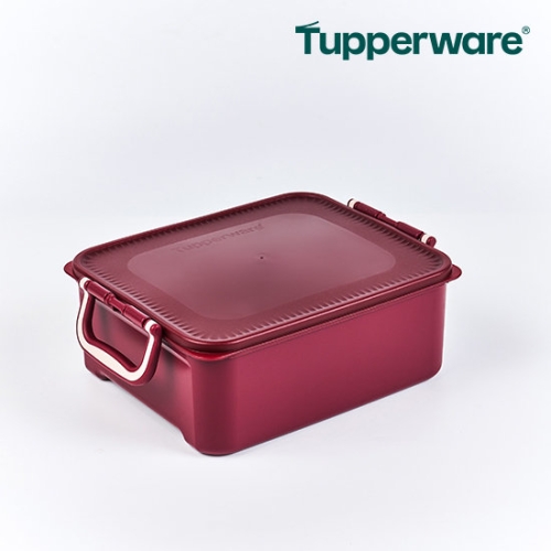 Ÿ�Ŀ��� �ñ״�ó ��ġ Ű�� 5.5L