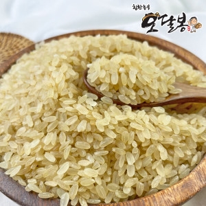 힘찬농부오달봉 국내산 찹쌀찐쌀 올벼쌀 올기쌀 5kg