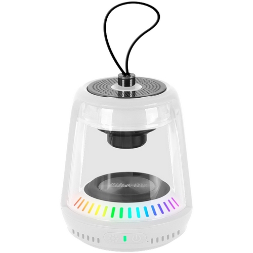 라익미 울버햄튼 블루투스 스피커 BC20 (화이트, N극)