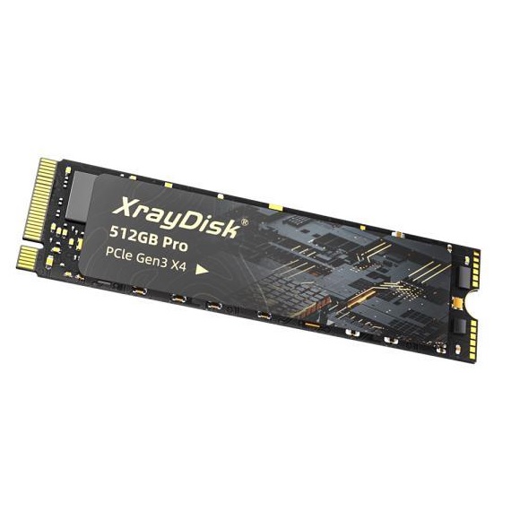 Xraydisk Pro M.2 NVMe 해외구매 (512GB) : 다나와 가격비교