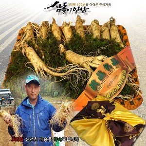 삼돌이인삼 금산인삼 선물세트 9~10뿌리 750g