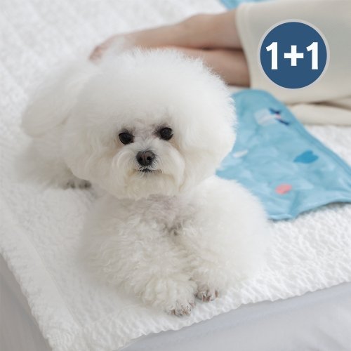 마이또 러브 시리즈 쿨매트 미니