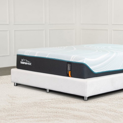 ������� New ���� ����� �� ���̺긮�� ��Ʈ���� CK