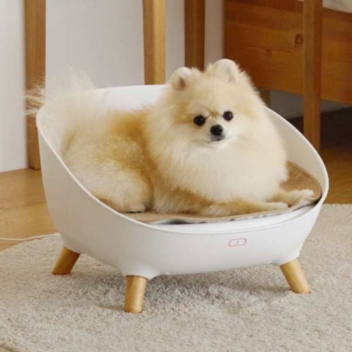 주연테크 펫드리머 냉난방 스마트 침대_이미지