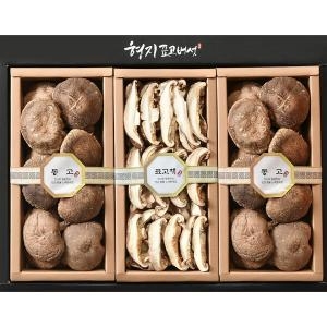 형지표고버섯 흑화고 선물세트 특2호 320g