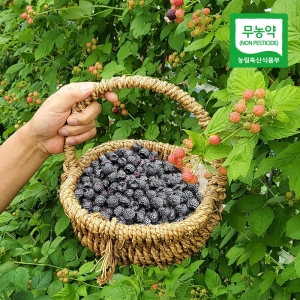 친환경팔도 산지직송 전남 보성 무농약 토종 복분자 급냉 2kg이미지입니다. 누르면 해당 게시물로 새창이동합니다.