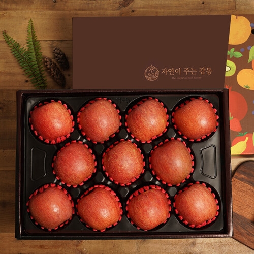 감동 자연의감동 사과 세트 10~12과 5kg_이미지