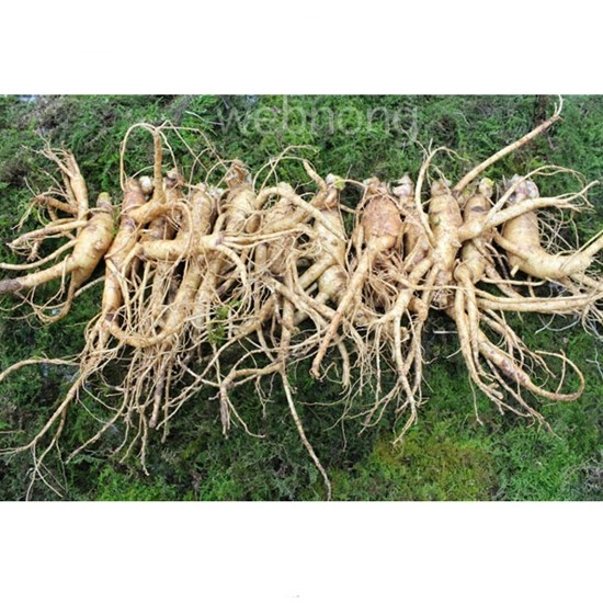�ݻ��λ� ���� 4ȣ �� 750g