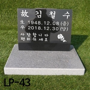 LP-43_이미지