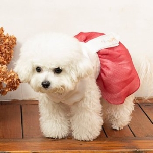 메종드독 하얀말기 소담 한복 (S~2XL)