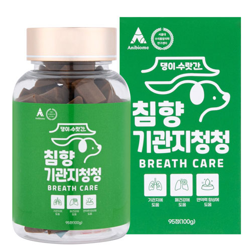 침향 기관지청청 95p (2개)