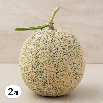 ���� �ӽ�ũ ���