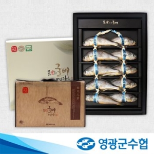 영광군수협 법성포 영광 굴비 명품 오가 선물세트 1.3kg 10미 / 고급지함, 부직포가방 포장
