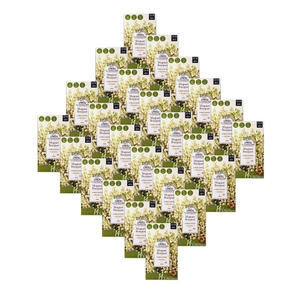 �ְ� ����Ʈ��1802 ����̽�Ʈ �°Ժ��� 40��