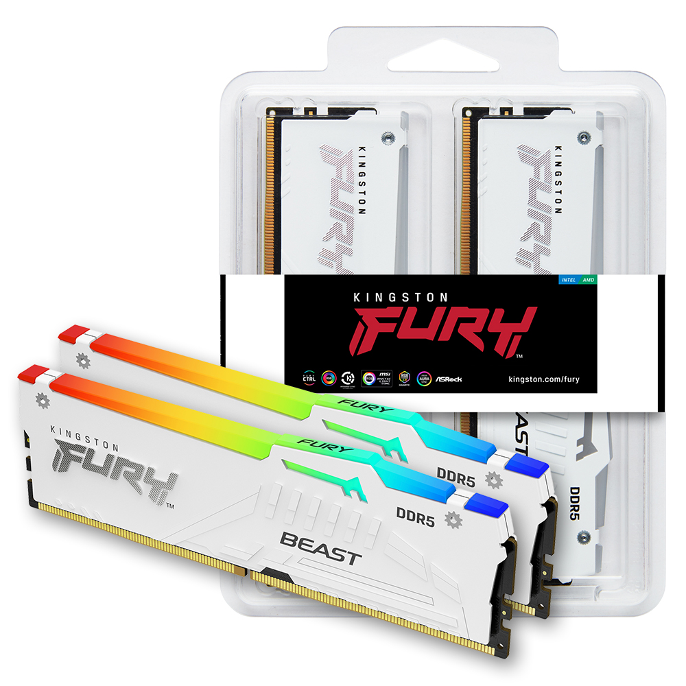 킹스톤 FURY DDR5-6000 CL30 Beast RGB 화이트 패키지 코잇 (32GB(16Gx2))_이미지