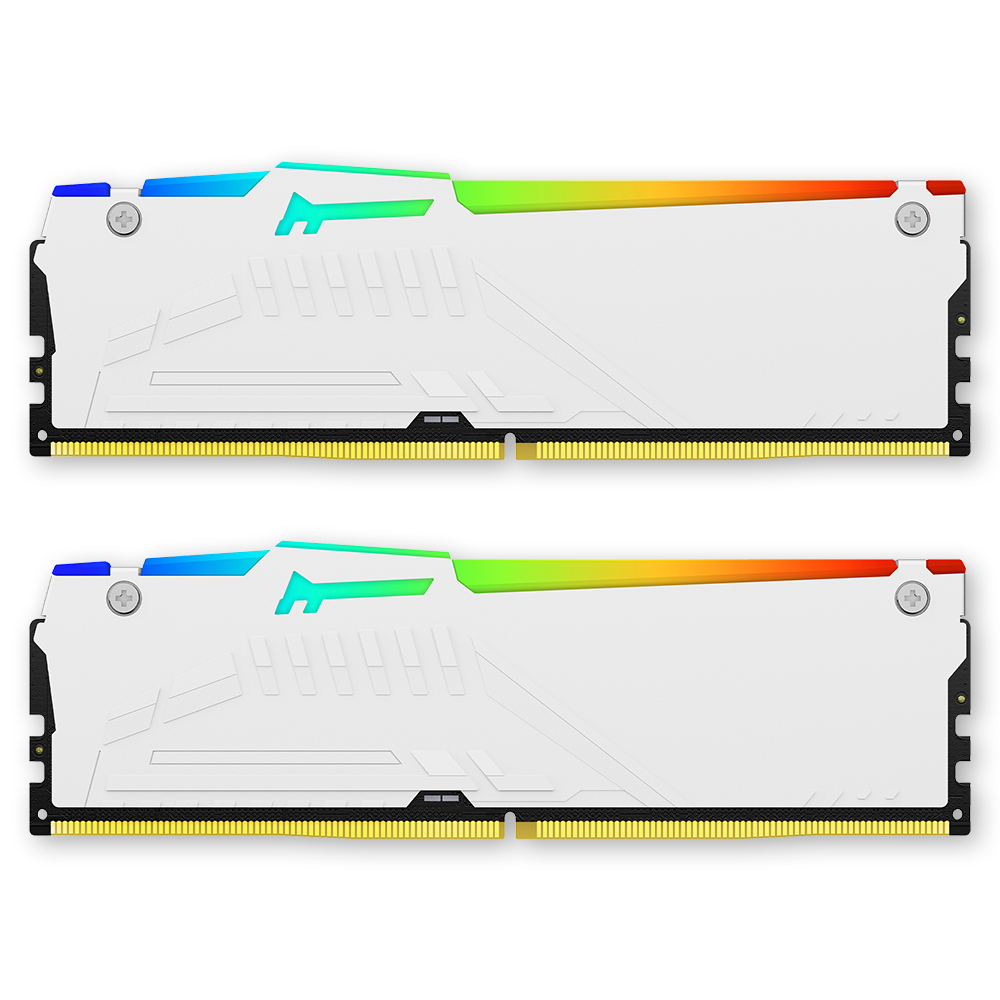 킹스톤 FURY DDR5-6000 CL30 Beast RGB 화이트 패키지 코잇 (32GB(16Gx2))_이미지