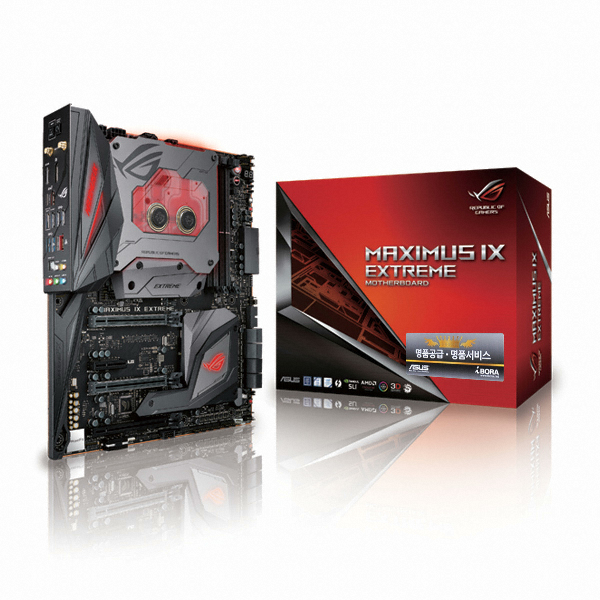 MAXIMUS IX EXTREME 아이보라
