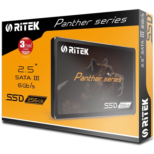 RiTEK  Panther Series [256GB] 상품이미지