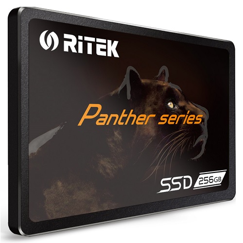 RiTEK  Panther Series [256GB] 상품이미지