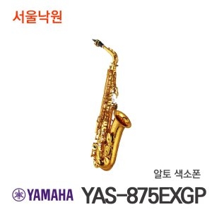 야마하 YAS-875EXGP (일반)_이미지