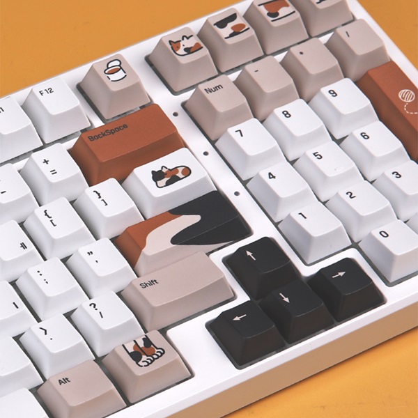 ��Ÿ ���� ���� N2PRO ������ ����