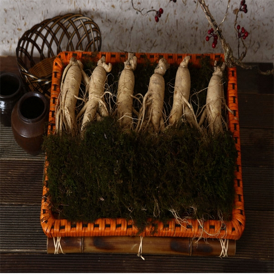 풍기토종홍삼조합 풍기농부 6년근 수삼 특대 5~6뿌리 750g (1개)