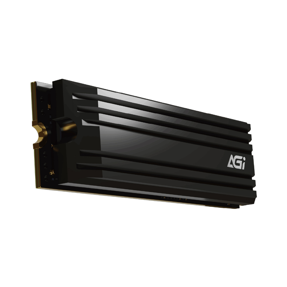 AGI AI838 M.2 NVMe 서린 (1TB)_이미지