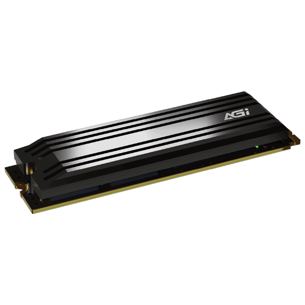 AGI AI838 M.2 NVMe 서린 (1TB)_이미지